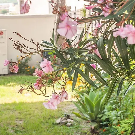 Barros Capri - Wonderful 4 Bedroom In Centre - Great Pool Area - Perfect For Fam *